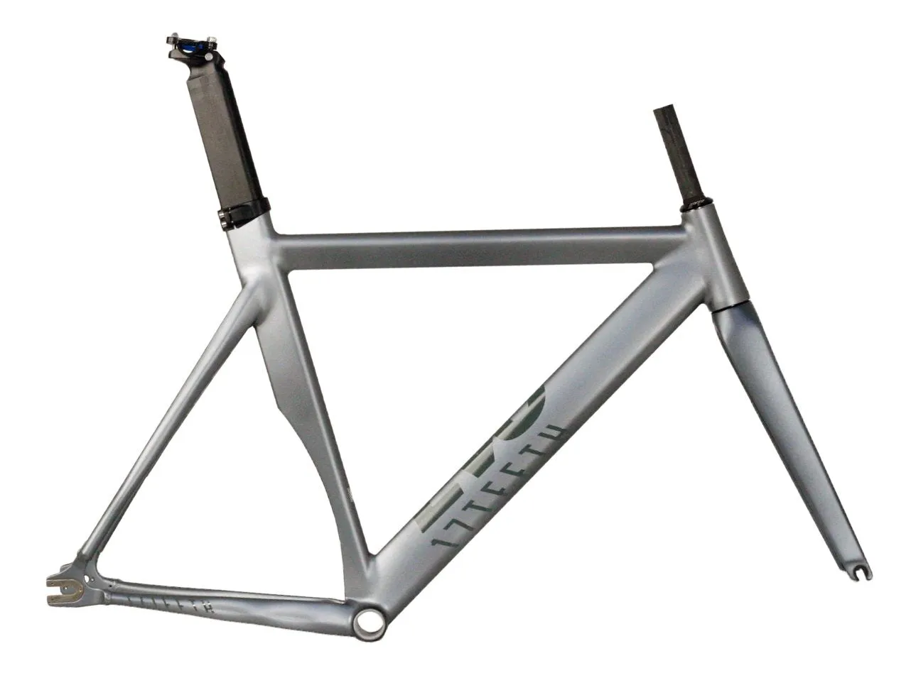 17Teeth Evo Track Frameset 2018