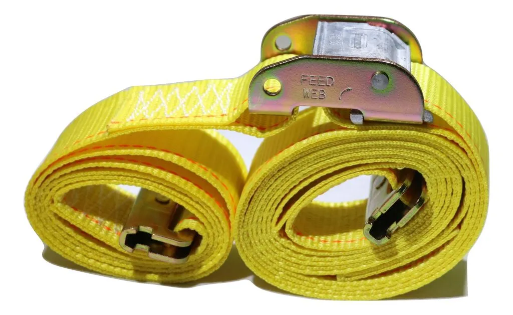 2" x 12 Ft Interior Van Cam Buckle E-Track Strap w/ Spring E Fittings | 10 PACK