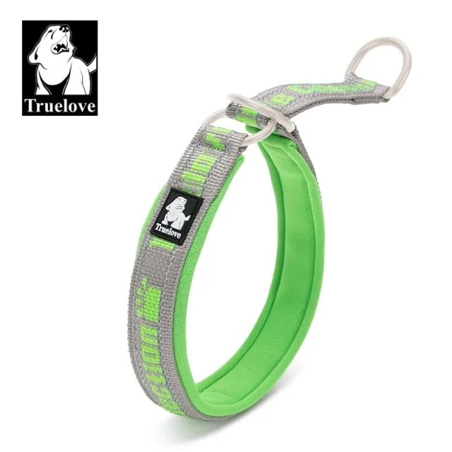 Adjustable P Chain Training Choke Collars Dog