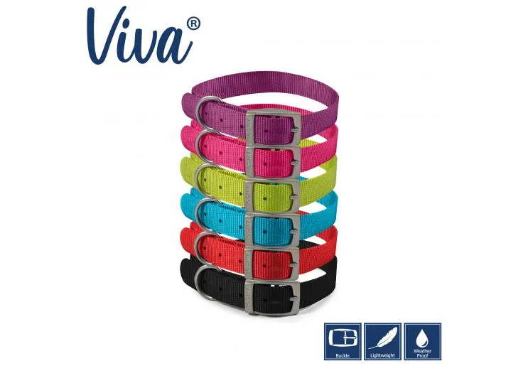 Ancol - Viva Nylon Buckle Collar - Blue - Size 4 (35-43cm)