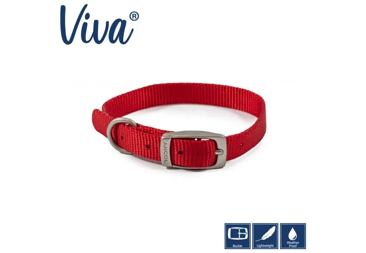 Ancol - Viva Nylon Buckle Collar - Blue - Size 4 (35-43cm)