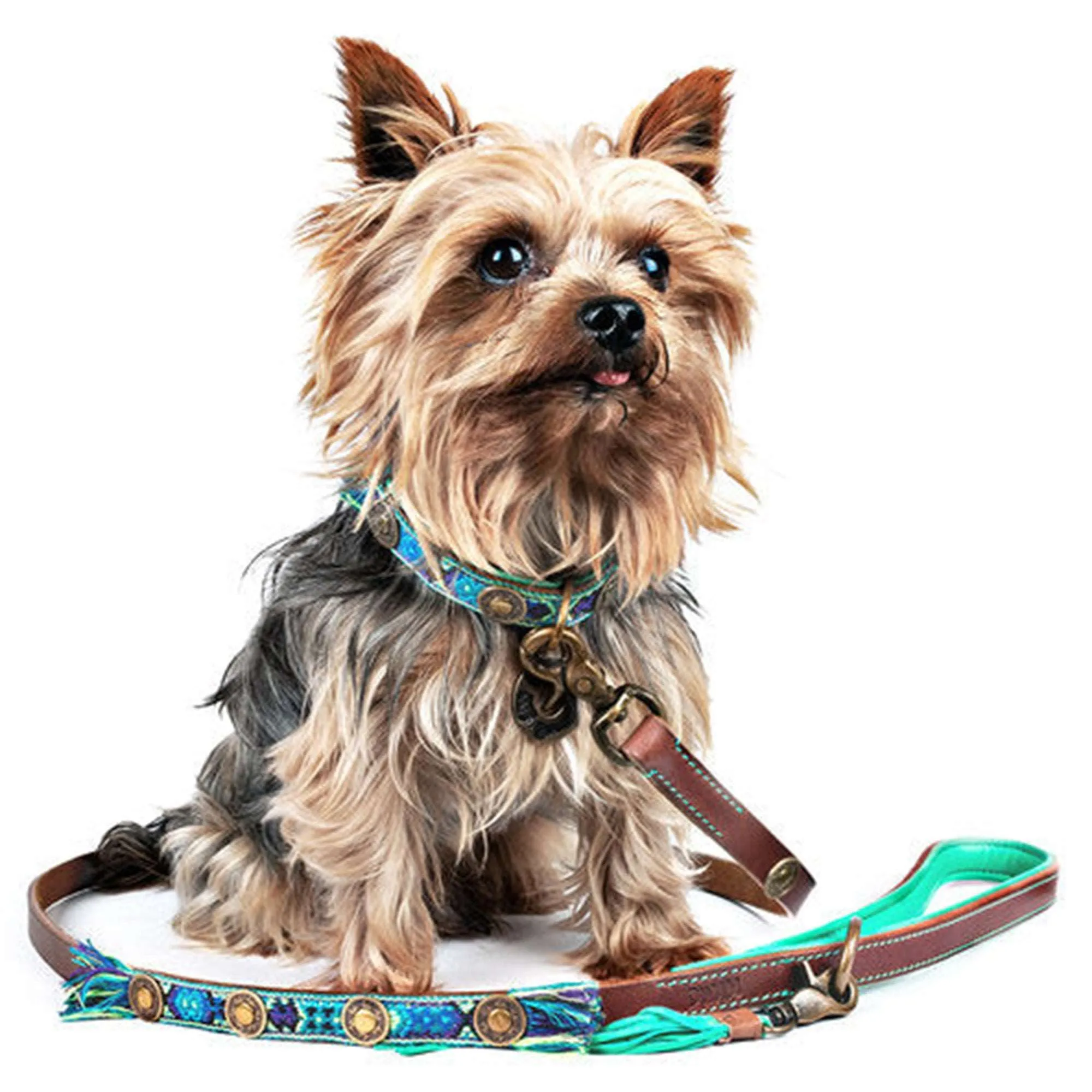 Boho Juan Blue Leather Dog Collar - Dog with a Mission