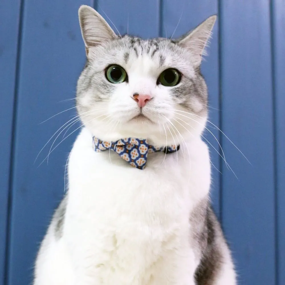 Bowtix Handmade Cat Collar With Removable Bowtie - Dainty Motif