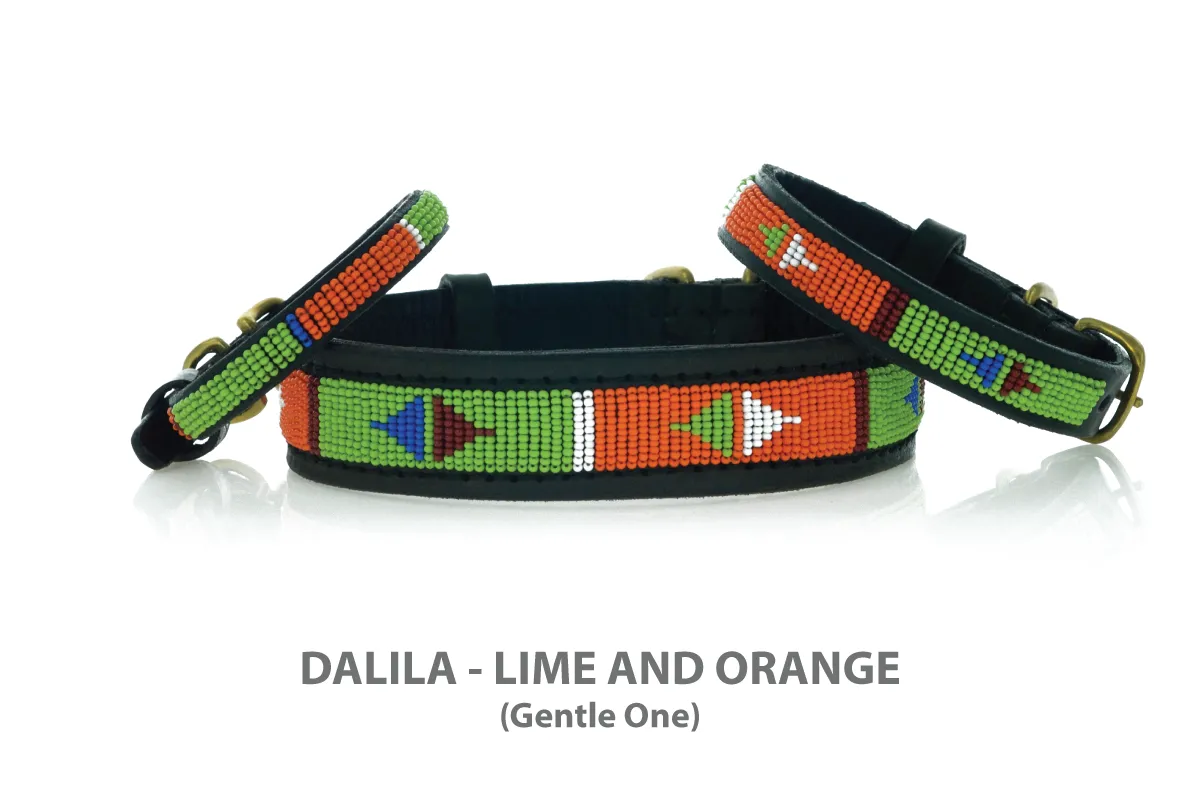 DALILA LIME AND ORANGE (Gentle One) Maasai Beaded Collars and Leashes