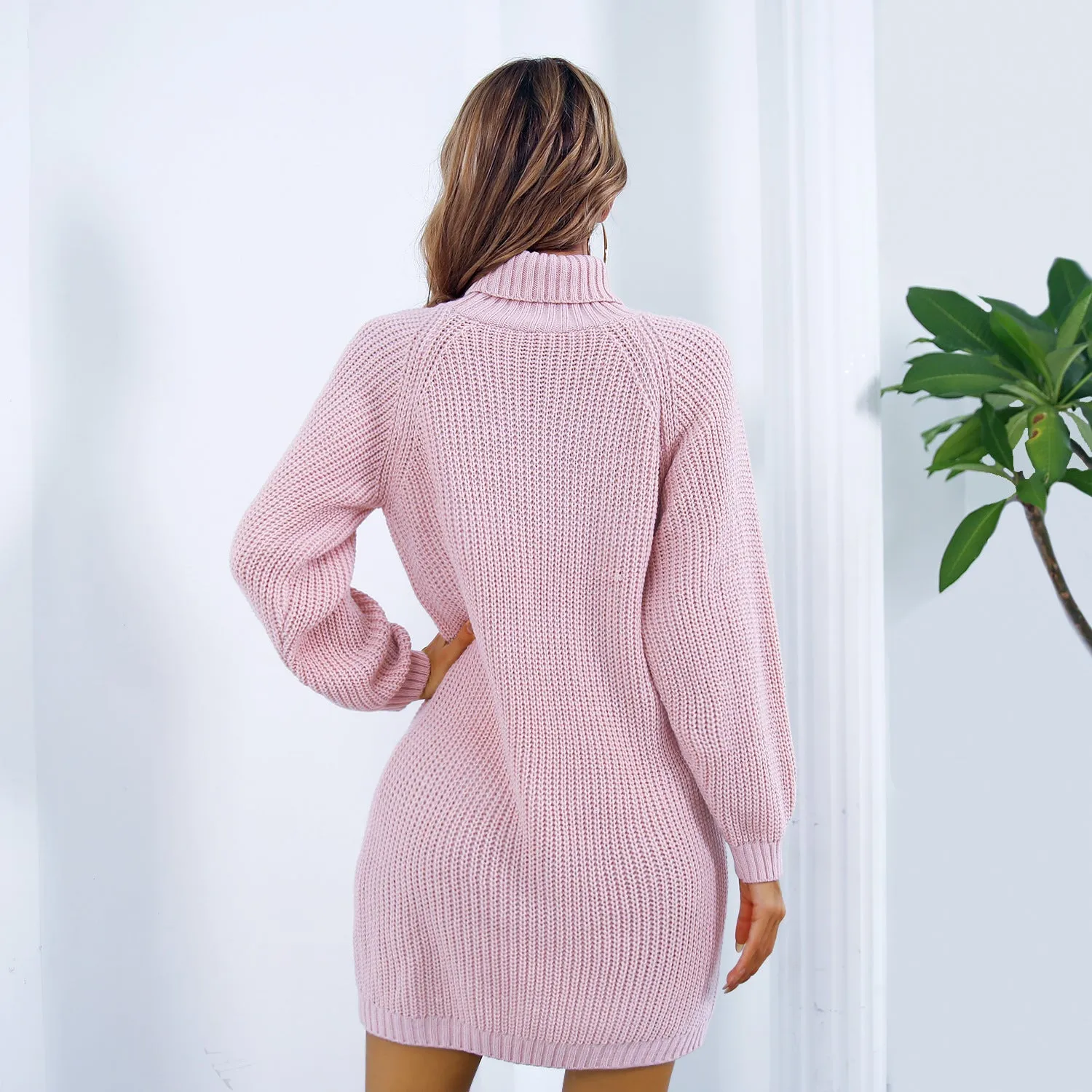 Luxe Turtleneck Sweater Dress