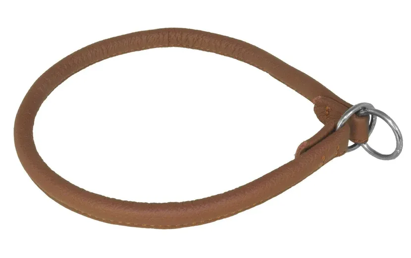 Rolled Leather Slip Collar