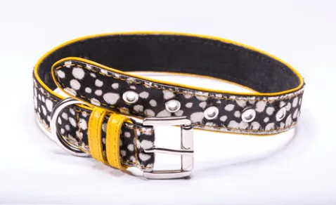 Strapets Signature collar - Spots