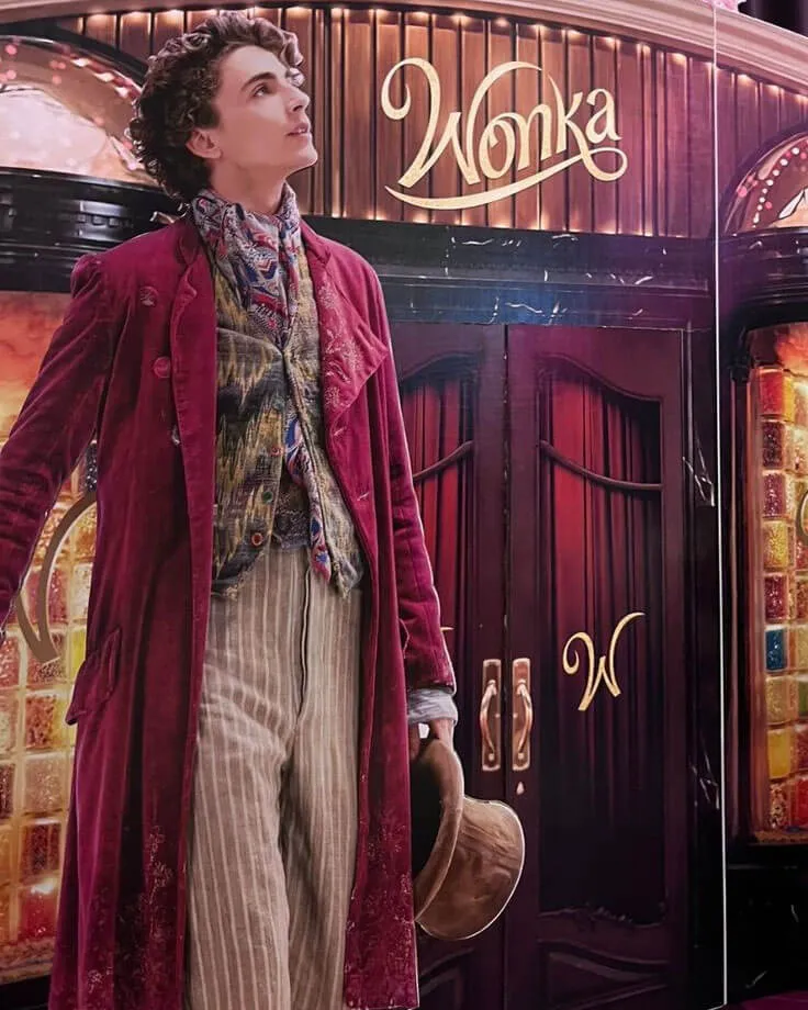 Timothée Chalamet Willy Wonka Velvet Coat