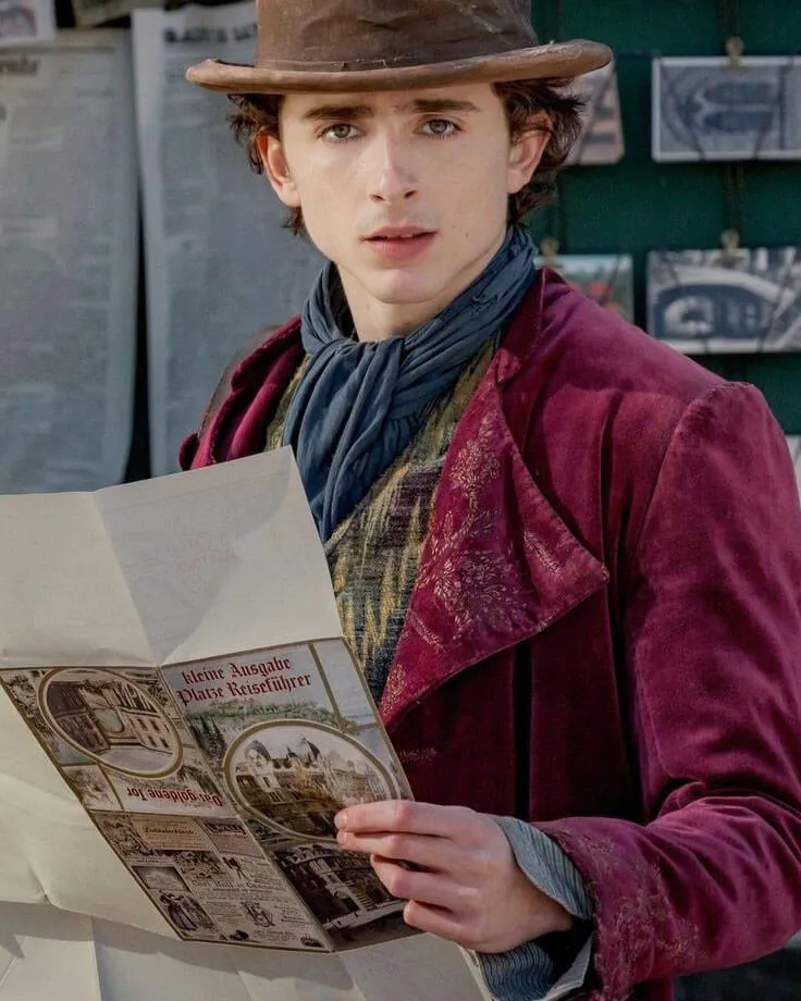 Timothée Chalamet Willy Wonka Velvet Coat