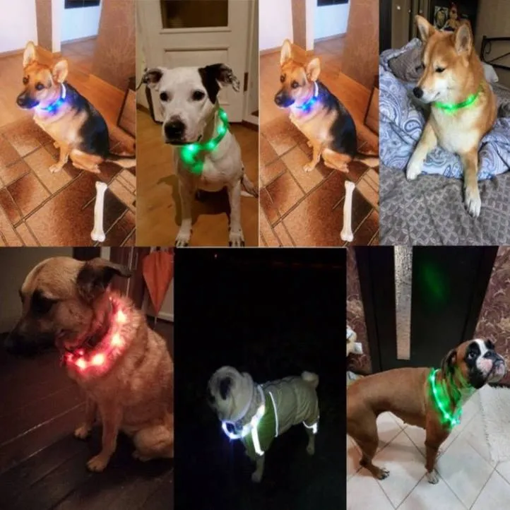 USB Rechargeable LED Dog Collar - Bright & Safe Night Walks!