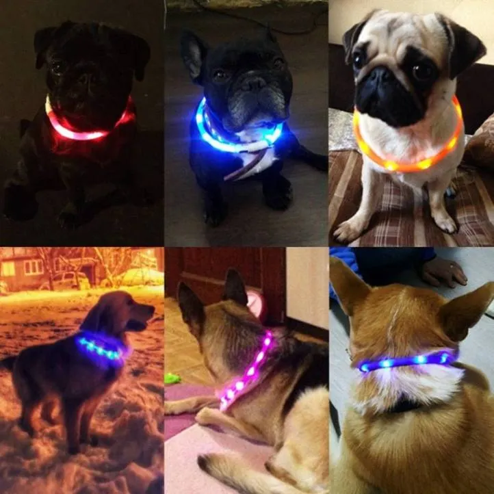 USB Rechargeable LED Dog Collar - Bright & Safe Night Walks!