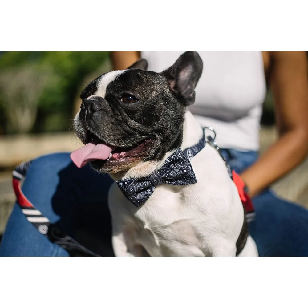 Zee.Dog Paisley Bow Tie